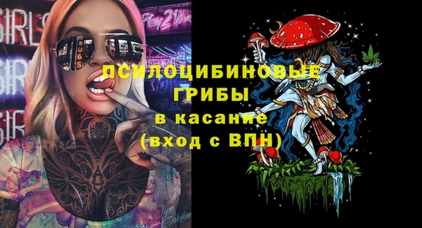 гидра Каменногорск