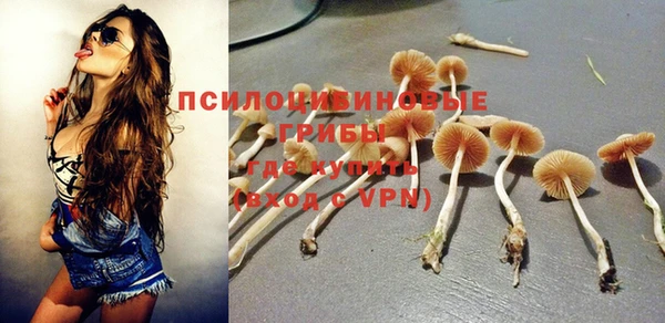 сатива Коряжма