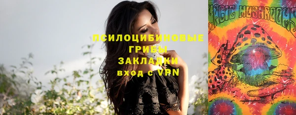 крисы Белокуриха