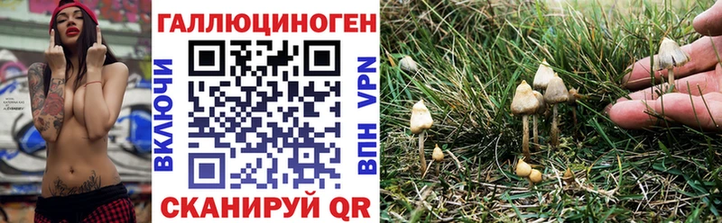 как найти закладки  Воскресенск  Галлюциногенные грибы прущие грибы 