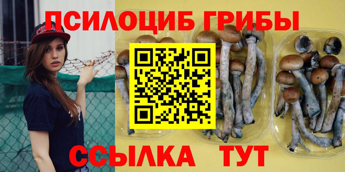 Воскресенск  Галлюциногенные грибы прущие грибы  Вход с VPN  наркотики  Галлюциногенные грибы мицелий 